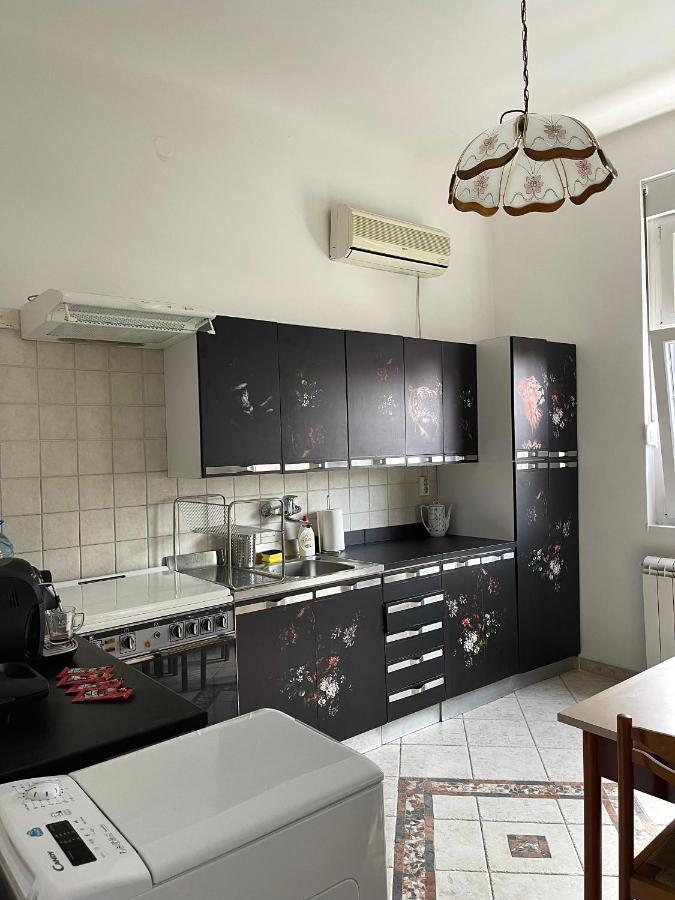 شقة Apartman Alba بلغراد المظهر الخارجي الصورة